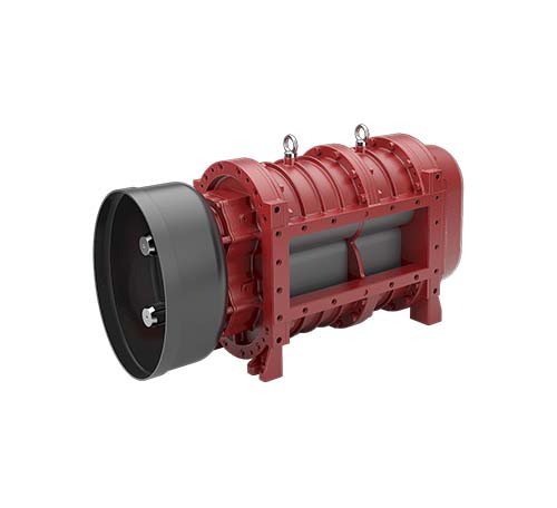 BR_VERSIUNEA_D BATTIONI PAGANI