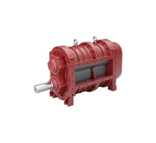 BR_VERSIUNEA_P BATTIONI PAGANI