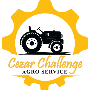 Cezar Challenge